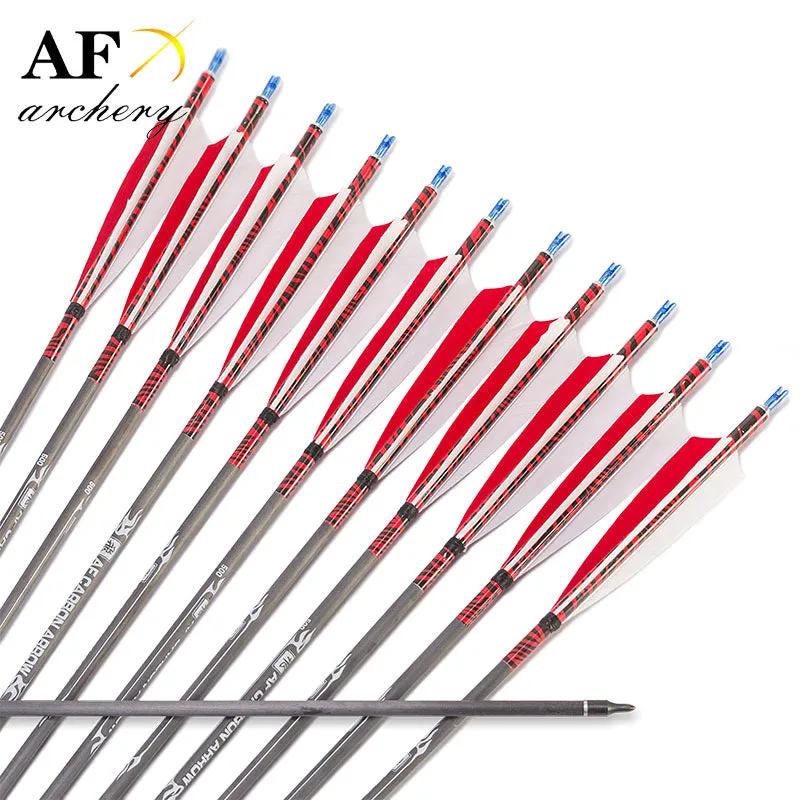 12x Carbon arrows