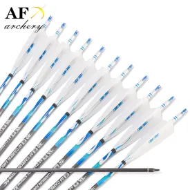 12x Carbon arrows