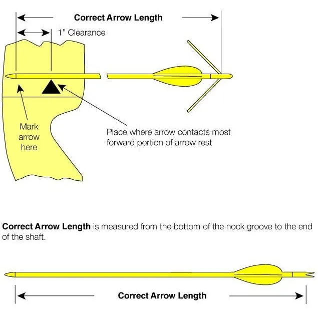 Beman ICS Energy Arrows x1