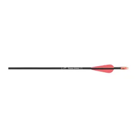Carbon Express Thunder Express Arrow