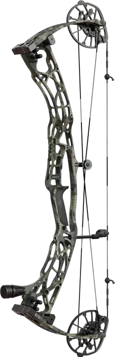 HOYT ALPHA X 33