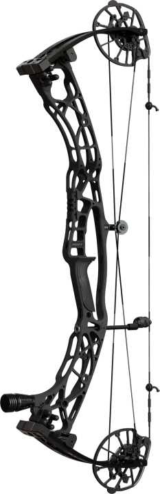 HOYT ALPHA X 33