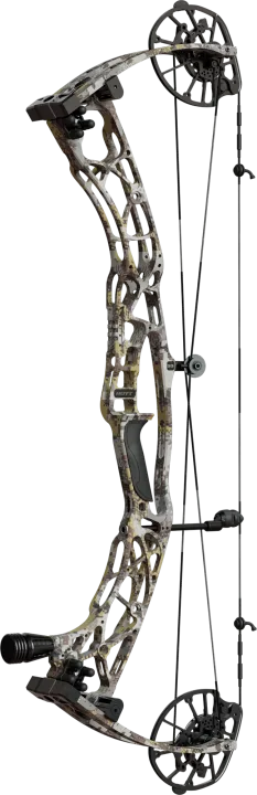 HOYT ALPHA X 33