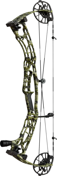 HOYT ALPHA X 33