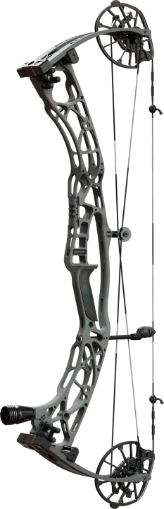 HOYT ALPHA X 33